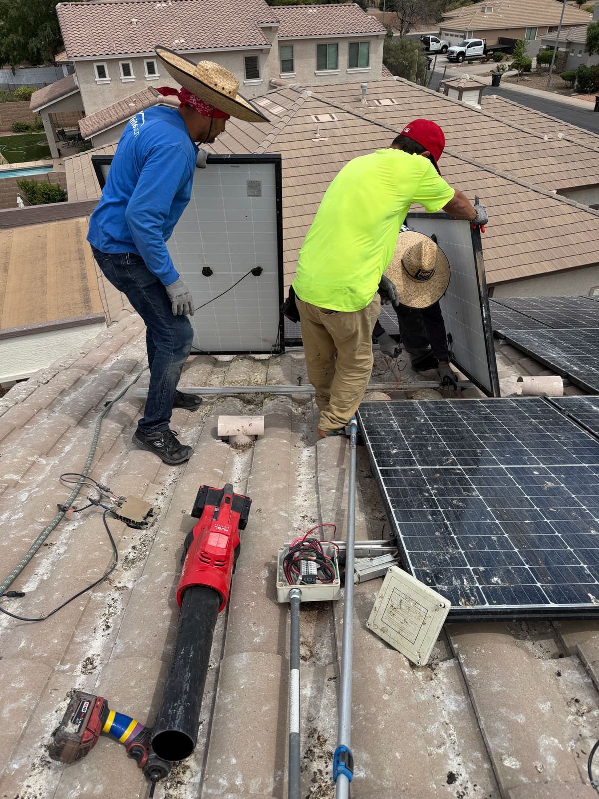 Crew clearing pigeon debris from under solar panels