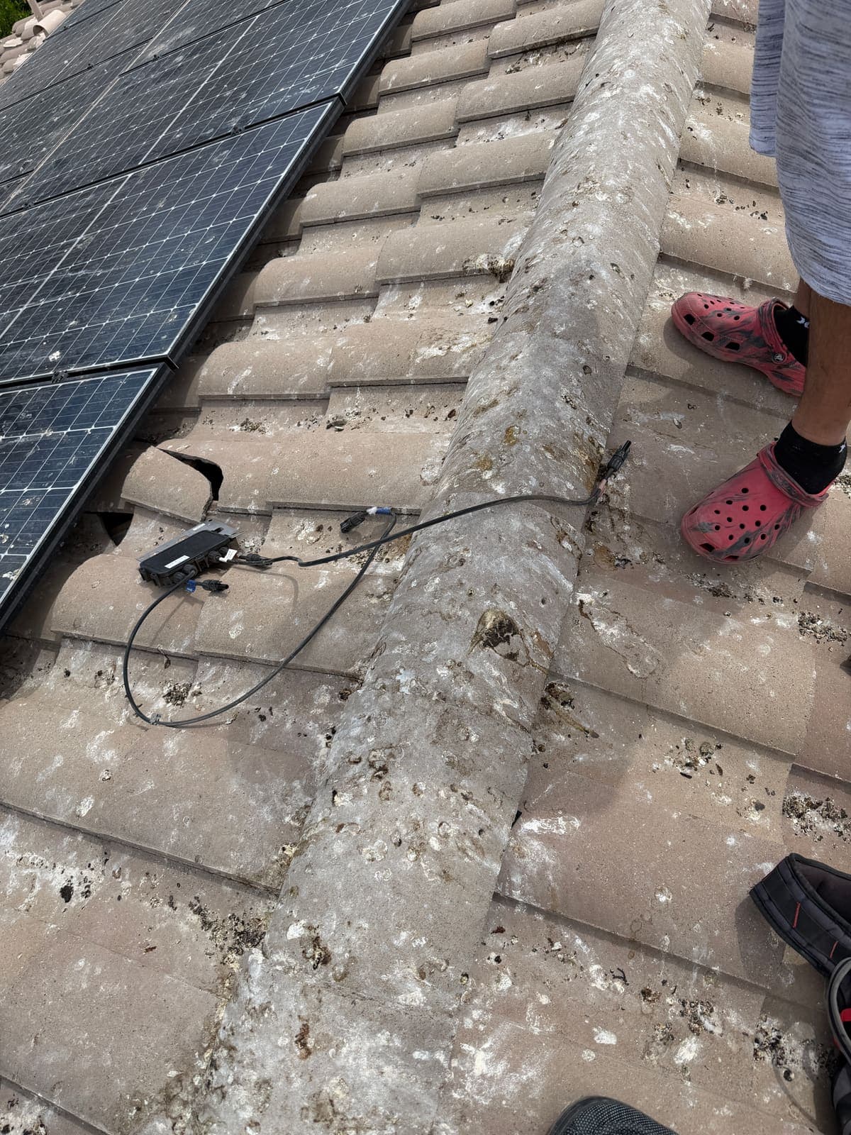 Microinverter on a broken roof tile surrounded by pigeon droppings