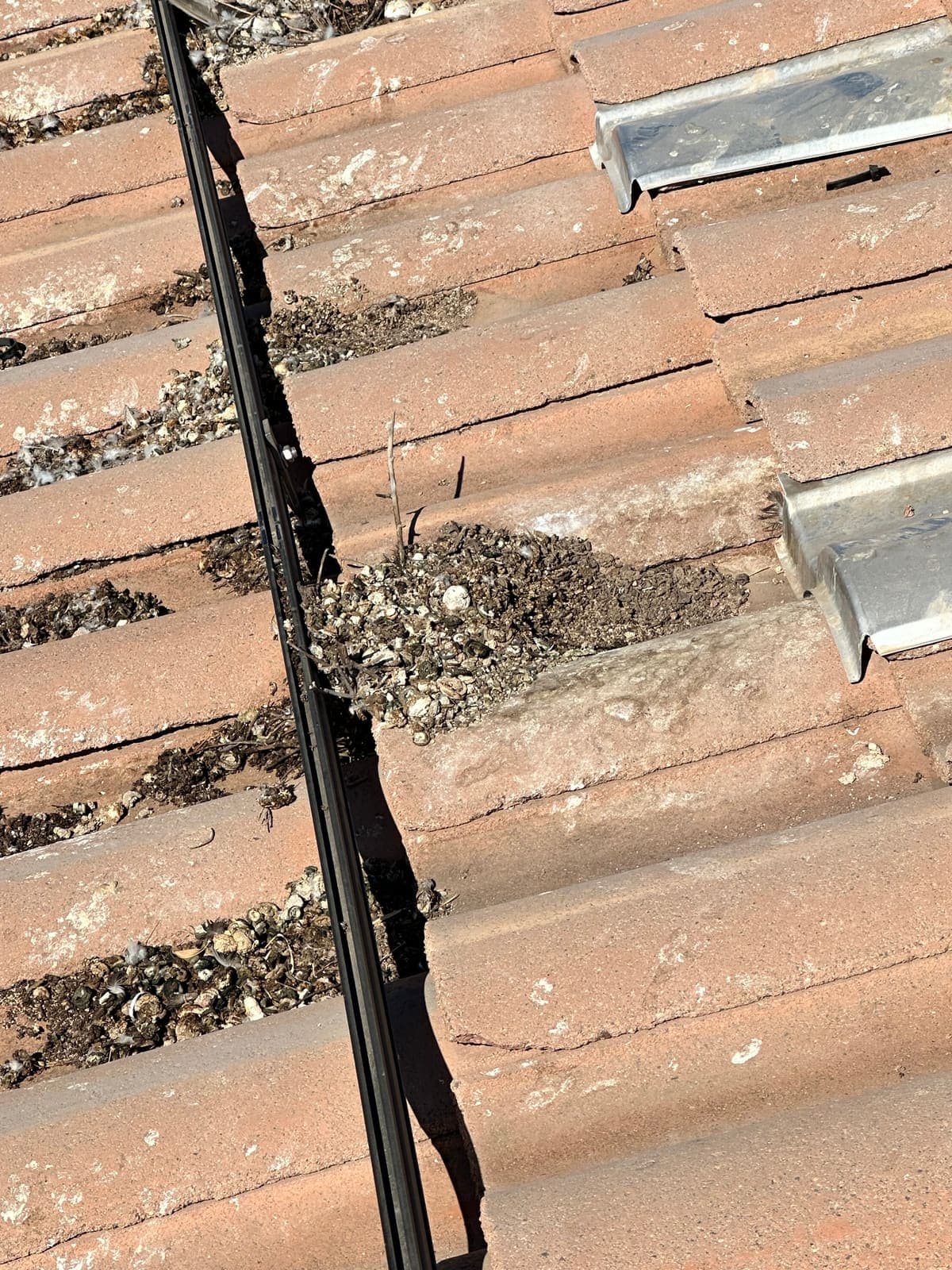 Pigeon nest packed under a solar rail before sealing